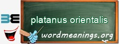 WordMeaning blackboard for platanus orientalis